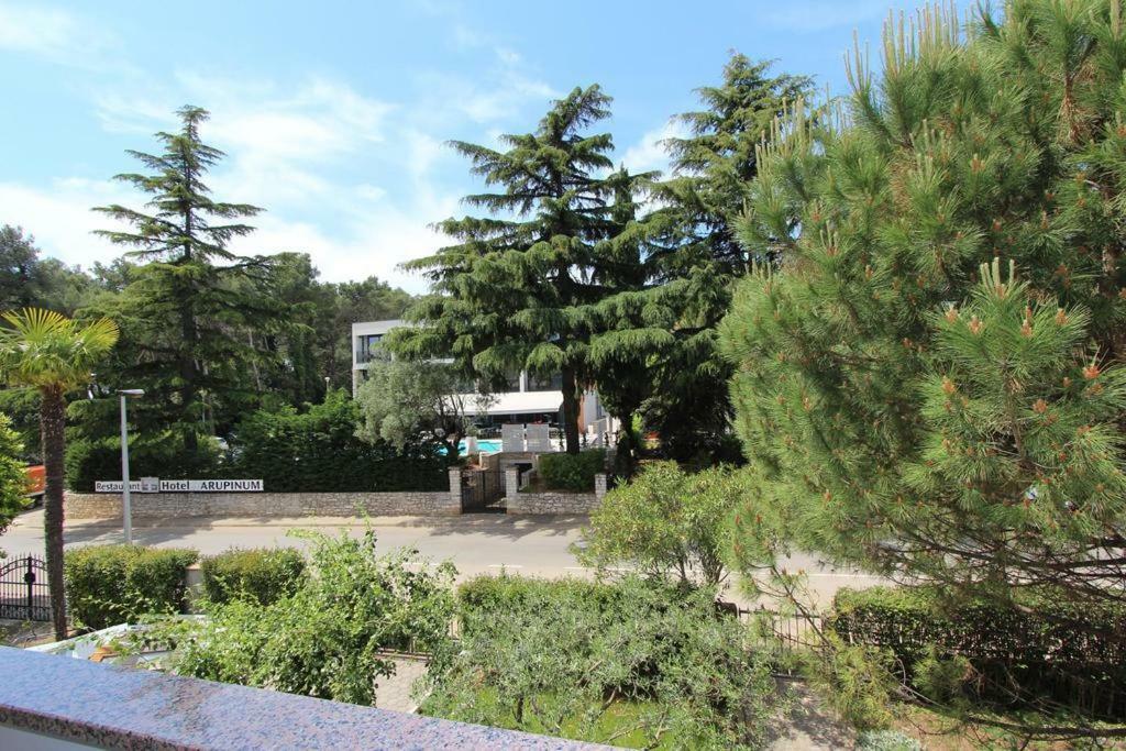 Apartment Matea Rovinj Eksteriør billede